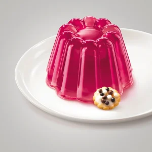Dr. Oetker Professional Götterspeise Kirsch (1 Kg) 19