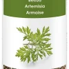 WIBERG Beifuß Getrocknet (1200 Ml) 22