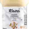 Knorr Professional Ingwer Paste (750 G) 23